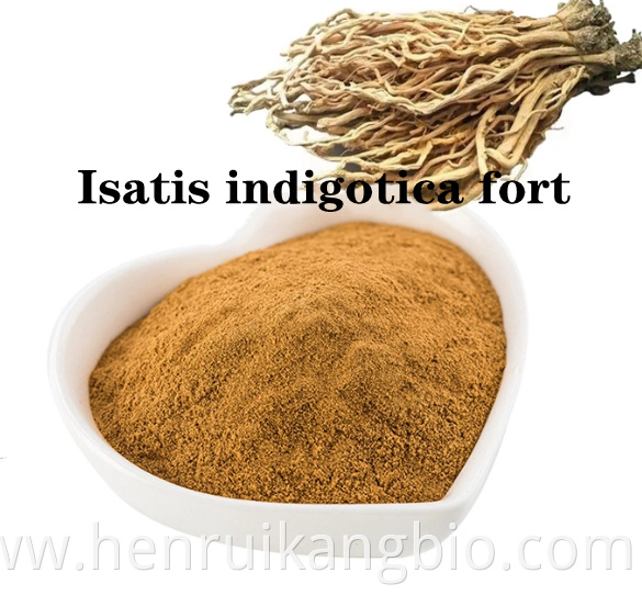 f Isatis indigotica fort Extract powder